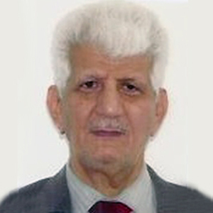 مالك جاسم محمود