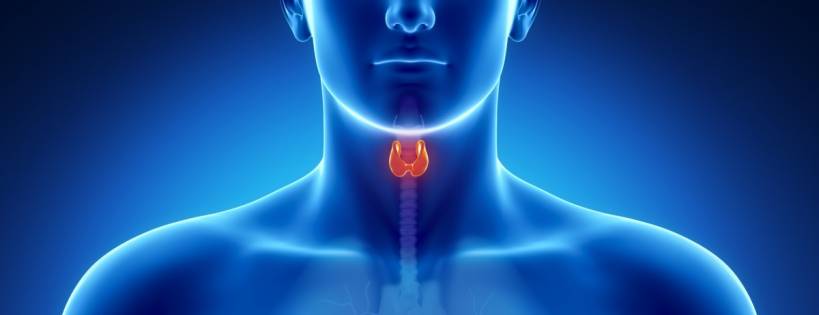 Overview on Thyroid Cancer - Best Thyroid Clinics in Qatar 